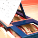 Image for article titled Listen to Da Vinci's Genius Piano-Cello Played for the Very First Time